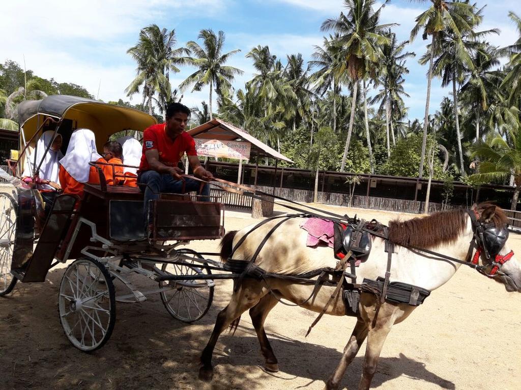 Hotel Hs Farm Waterpark Muar Exteriér fotografie